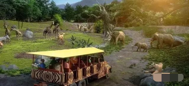 清远长隆最新消息！长颈鹿城堡、世界最大“鸟笼”超级水上乐园！